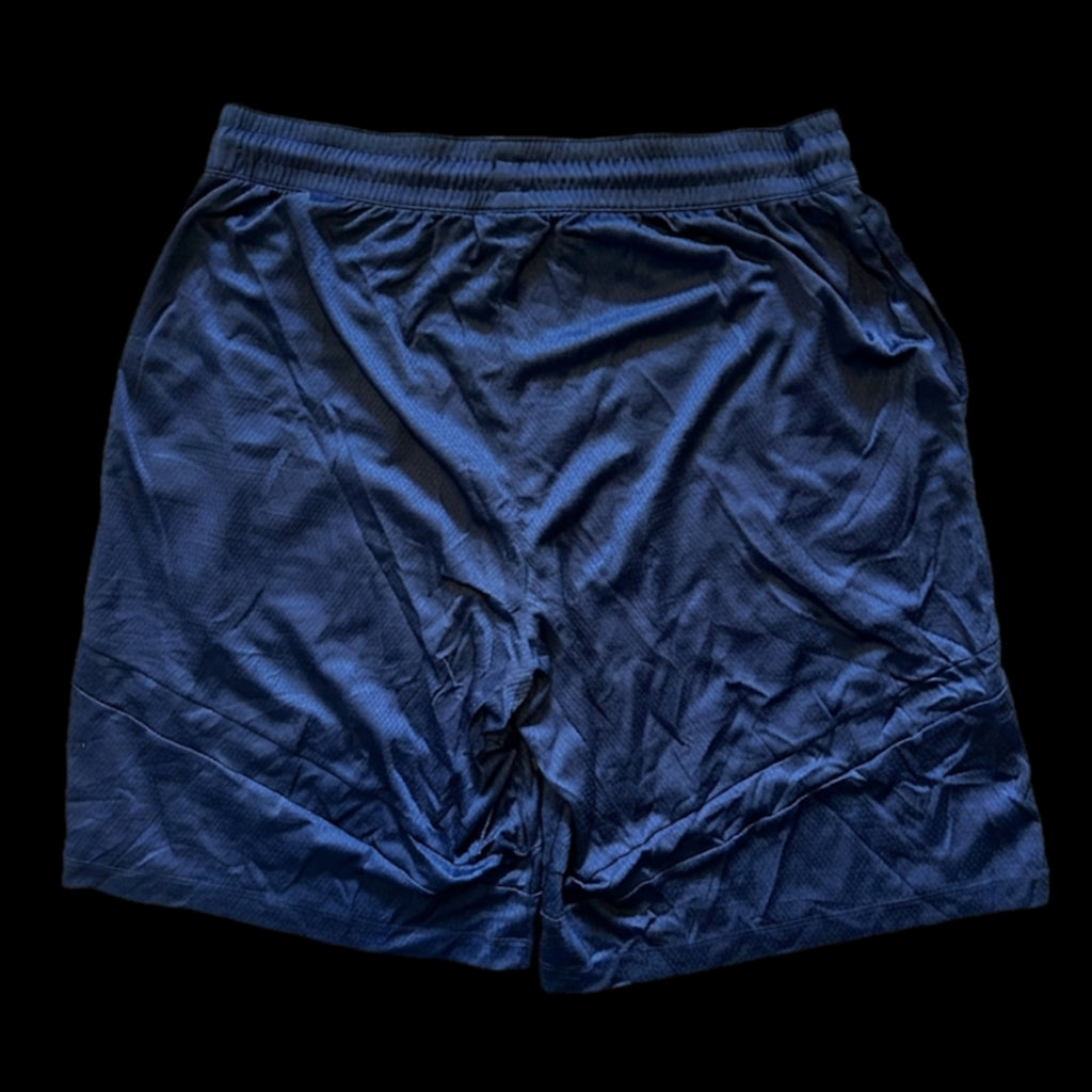 Blue Y2K Nike Shorts (XL) 657 Vintage